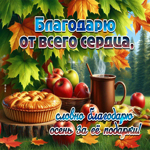 Благодарю от всего сердца, словно благодарю осень за ее подарки