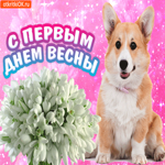 Первый День Весны. Добрых мыслей и гармонии всегда
