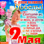 Благодарим вас ветераны - С Днём Победы