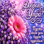 Чтоб этот день был самым чудесным