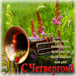 Чудесного, волшебного, невероятно позитивного вам дня