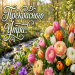 Цветущего весеннего утра