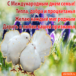 День семьи. Радости и тепла рядом повсюду
