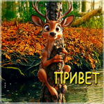 Добрая, нежная осенняя гифка Привет
