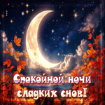 Добрая осенняя гифка Спокойной ночи, сладких снов