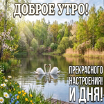 Доброе утро и прекрасного дня