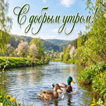 Доброе утро и прекрасного настроения на весь день