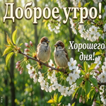 Доброе утро и вдохновения
