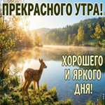 Доброе утро! Лето — твоё время.
