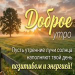 Доброе утро! Лови летнее настроение.