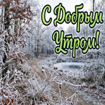 Доброе утро! Лёгкого дня, удачи в делах и приятных событий!