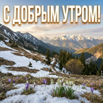 Доброе утро, мартовского настроения