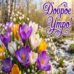 Доброе утро от всей души!