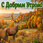Доброе утро! Пускай этот день будет наполнен гармонией.