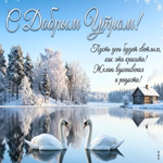 Доброе утро! Пусть день будет светлым.