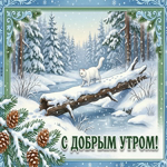 Доброе утро! Пусть день будет ярким.