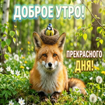 Доброе утро, пусть день радует