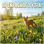 Доброе утро! Пусть день сложится именно так, как ты хочешь