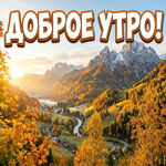 Доброе утро! Пусть осень подарит красивый и лёгкий день.