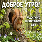 Доброе утро, пусть сегодня повезёт