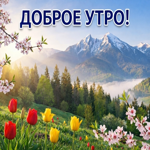 Доброе утро! Пусть сегодня всё будет вовремя и к лучшему