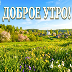 Доброе утро! Пусть солнце улыбается.