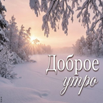 Доброе утро! Пусть всё радует.