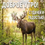 Доброе утро, счастья тебе