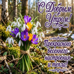 Доброе утро! Желаю, чтобы оно принесло новые радости, новое, прекрасное настроение