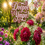 Доброго утра от меня