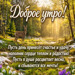 Доброго утра! Пусть солнце за окном наполнит день теплом света и приятными эмоциями.