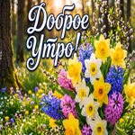 Доброго утречка, дорогая