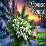 Доброго вечера! Желаю тебе теплого и уютного вечера, полного радости и хорошего настроения