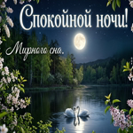 Доброй ночи и сладких снов