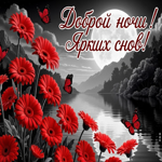 Доброй ночи и ярких снов!