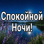 Доброй ночи, пусть сон будет сладким, как ягоды