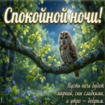 Доброй ночи! Пусть тебя окружает тишина и уют