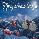 Добрый вечер! Пусть заботы растворятся.