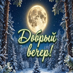 Добрый зимний вечер! Пусть будет уютно.