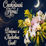 Добрых и ласковых снов
