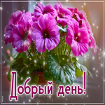 Долгожданная, чудесная открытка Добрый день