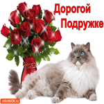 Дорогой подружке, котик и цветочки