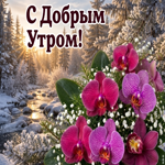 Доюрого утречка!!!