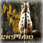 Душевная, милая осенняя гифка Скучаю