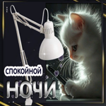 Душевная открытка с котиком Спокойной ночи