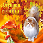 Движущаяся открытка осенний привет. Новых успехов