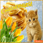 С Масленицей. Улыбок и счастья вокруг
