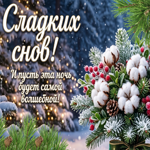 И пусть эта ночь будет самой волшебной