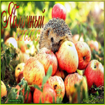 Яблочный спас фото