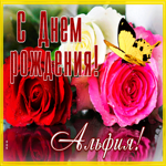 Интересная гифка с днем рождения Альфия